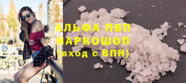 сатива Пролетарск