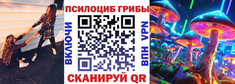 Галлюциногенные грибы Psilocybe  купить наркотик  Жирновск 